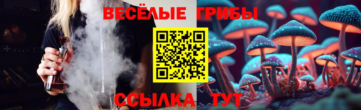 Псилоцибиновые грибы прущие грибы Арсеньев